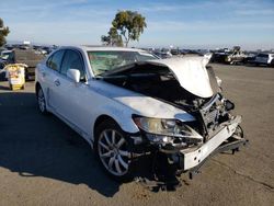 2007 Lexus LS 460 for sale in Martinez, CA