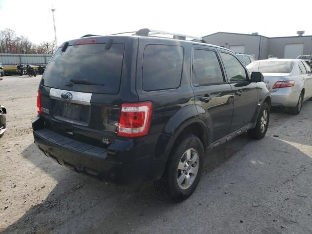 2011 Ford Escape Limited