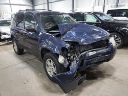 2004 Ford Escape Limited for sale in Ham Lake, MN