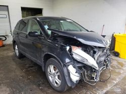 Salvage cars for sale from Copart Brookhaven, NY: 2010 Honda CR-V EXL