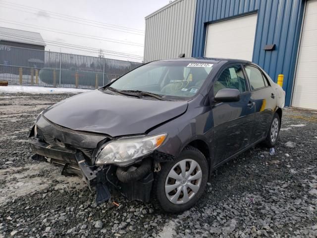 2009 Toyota Corolla Base