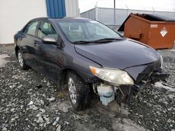 2009 Toyota Corolla Base en venta en Elmsdale, NS