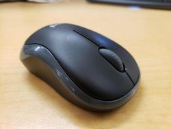 Salvage cars for sale from Copart Phoenix, AZ: 2019 Cadillac XT5