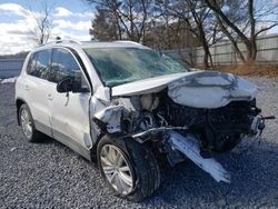 Volkswagen salvage cars for sale: 2013 Volkswagen Tiguan S