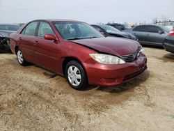 Salvage cars for sale from Copart Homestead, FL: 2005 Toyota Camry LE