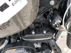 2019 Harley-Davidson XL883 N