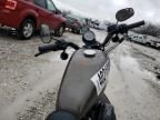 2019 Harley-Davidson XL883 N