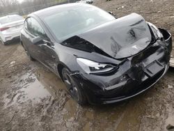 Tesla Model 3 salvage cars for sale: 2021 Tesla Model 3