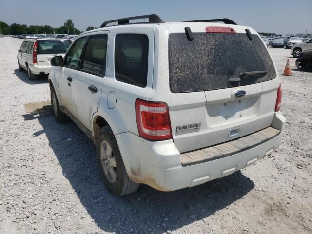 2011 Ford Escape XLT