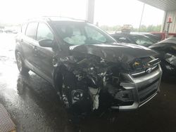 Salvage cars for sale from Copart Fort Wayne, IN: 2014 Ford Escape SE