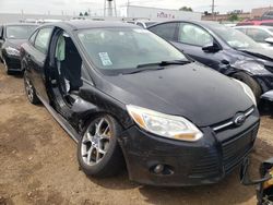 Ford Focus Vehiculos salvage en venta: 2013 Ford Focus SE