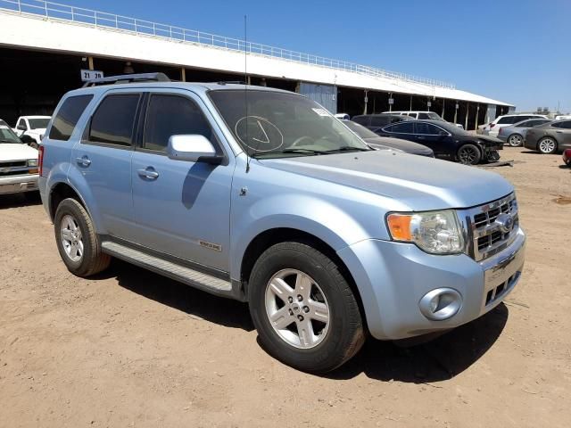 2008 Ford Escape HEV