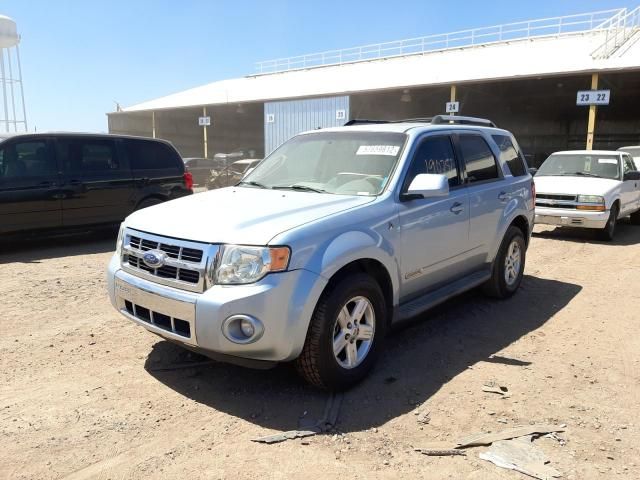 2008 Ford Escape HEV