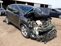 2016 Ford Escape SE for sale in Phoenix, AZ