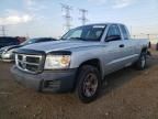 2008 Dodge Dakota SXT