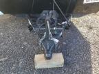 2019 Clipper Craft Trailer