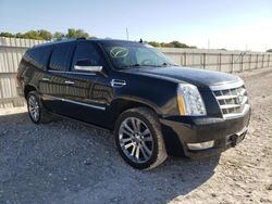 Salvage cars for sale from Copart New Braunfels, TX: 2012 Cadillac Escalade ESV Platinum