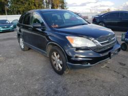 Salvage cars for sale from Copart Dunn, NC: 2011 Honda CR-V SE