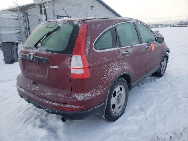 2010 Honda CR-V LX