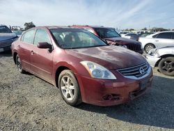 Nissan Altima salvage cars for sale: 2010 Nissan Altima Base