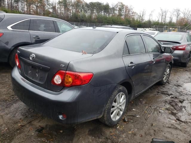 2010 Toyota Corolla Base