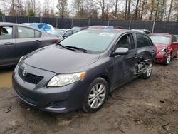 Toyota salvage cars for sale: 2010 Toyota Corolla Base