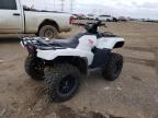 2017 Honda TRX500 FM