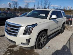 Cadillac Escalade salvage cars for sale: 2015 Cadillac Escalade Luxury