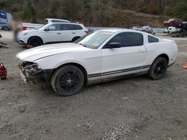 2010 Ford Mustang