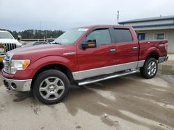 Ford F-150 salvage cars for sale: 2013 Ford F150 Supercrew