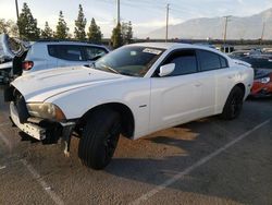 Vehiculos salvage en venta de Copart Rancho Cucamonga, CA: 2014 Dodge Charger R/T