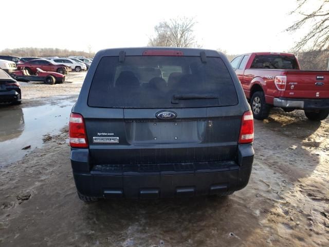 2008 Ford Escape XLS