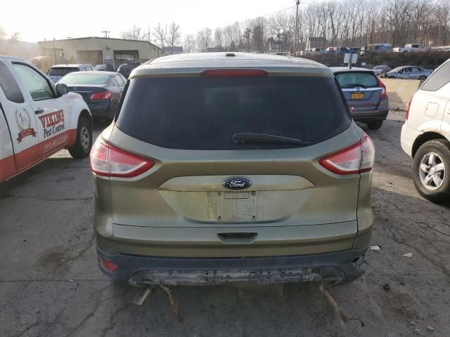 2013 Ford Escape SE