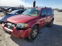 Ford Escape Vehiculos salvage en venta: 2005 Ford Escape Limited