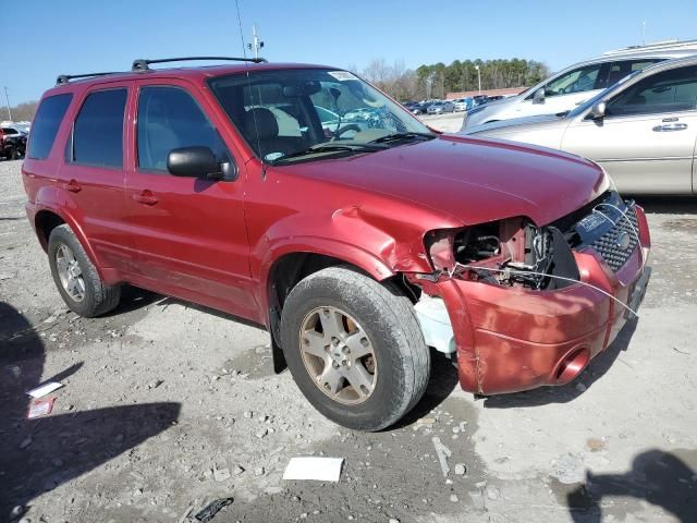 2005 Ford Escape Limited