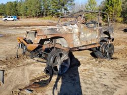 Salvage cars for sale from Copart Gaston, SC: 1993 Jeep Wrangler / YJ