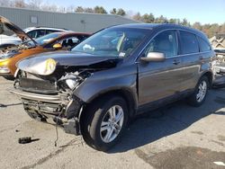 Honda crv salvage cars for sale: 2010 Honda CR-V EXL