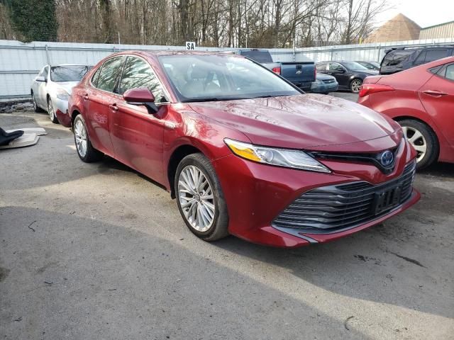 2019 Toyota Camry Hybrid