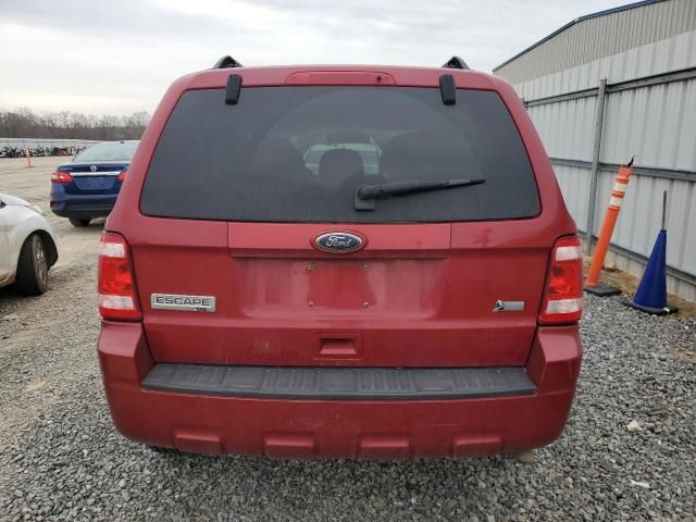 2010 Ford Escape XLT