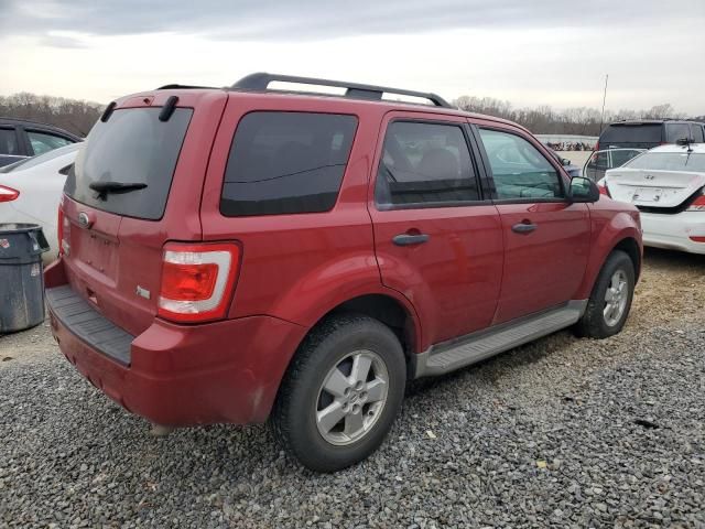 2010 Ford Escape XLT