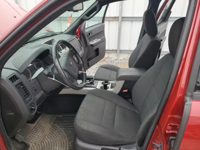 2010 Ford Escape XLT