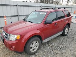 2010 Ford Escape XLT for sale in Gastonia, NC