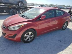 2014 Hyundai Elantra SE for sale in Arcadia, FL