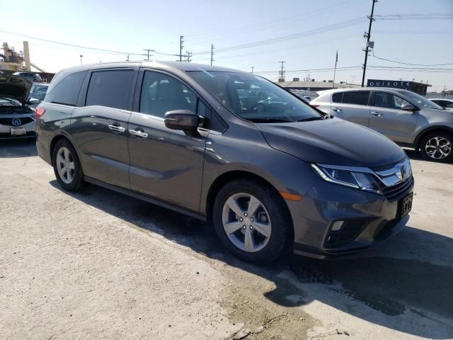 2019 Honda Odyssey EXL