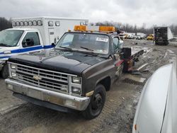 Chevrolet salvage cars for sale: 1978 Chevrolet Flatbed