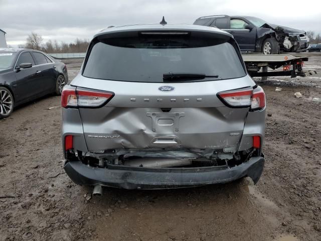 2021 Ford Escape Titanium