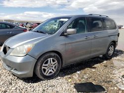 Honda salvage cars for sale: 2007 Honda Odyssey EXL