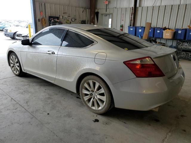 2009 Honda Accord EXL