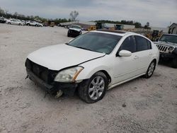 Nissan Maxima salvage cars for sale: 2007 Nissan Maxima SE