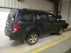 2009 Honda Pilot EXL